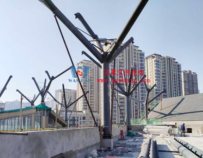 etfe膜結(jié)構(gòu)工程 etfe膜結(jié)構(gòu)工程