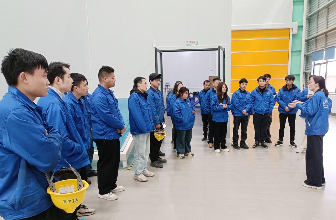 1740461474124679.jpg 10(1).jpg