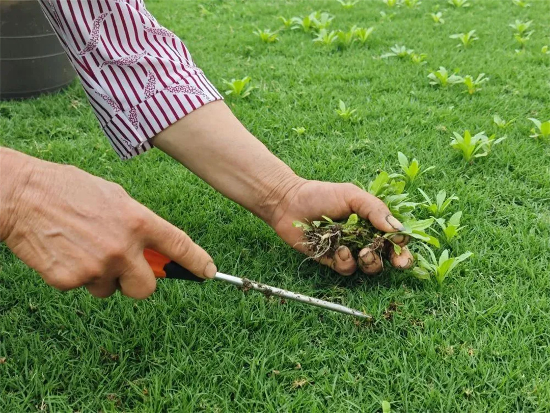 萬豪集團(tuán)匠心助力,6月齊聚重慶龍興足球場為國足吶喊助威! 萬豪集團(tuán)匠心助力,6月齊聚重慶龍興足球場為國足吶喊助威!