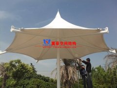 膜結(jié)構(gòu)形態(tài)有哪幾種？分別有哪些特點特征？